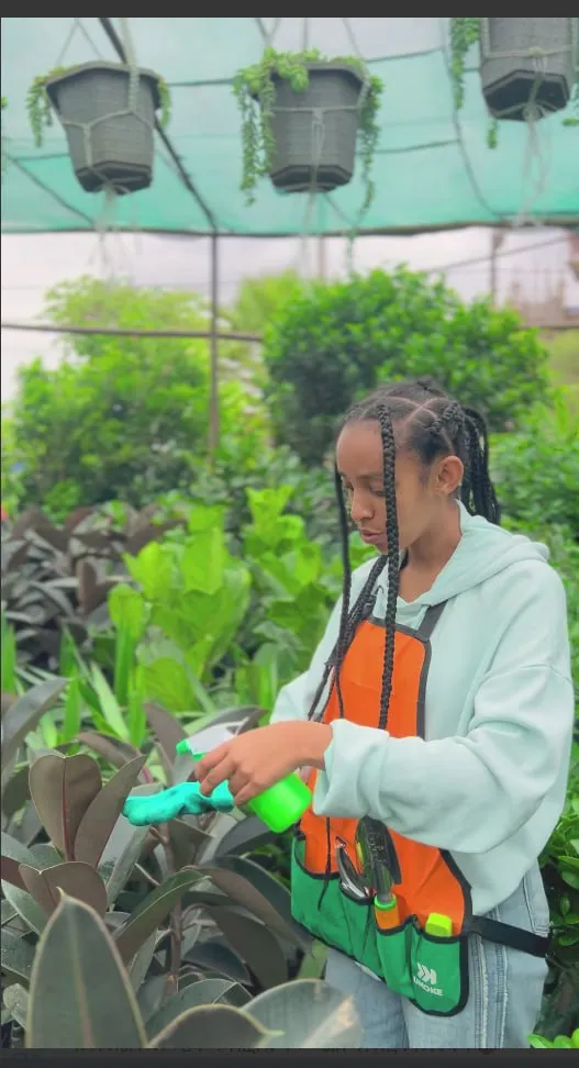Our Nursery Management