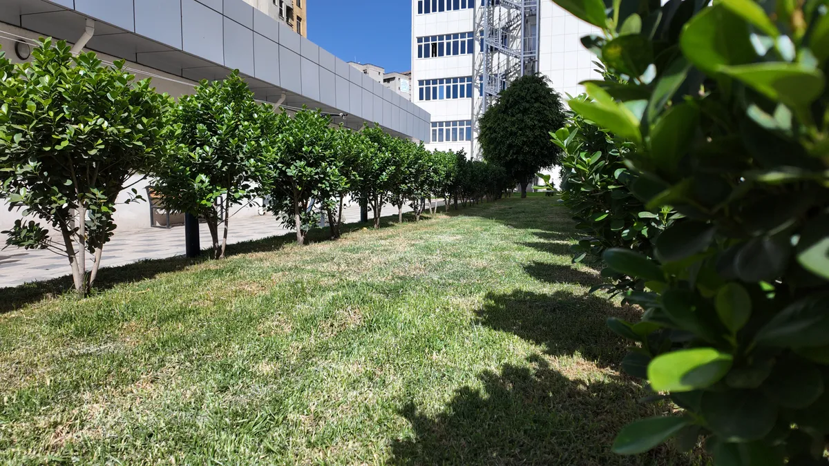 Outdoor planting and landscaping