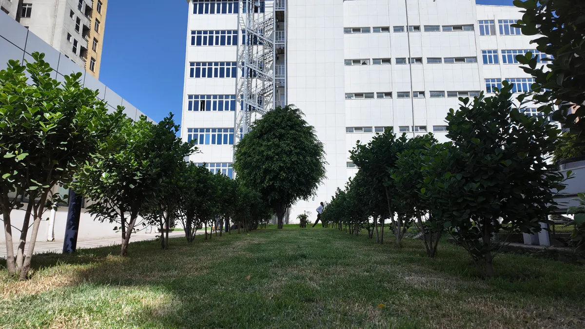 Outdoor planting and landscaping