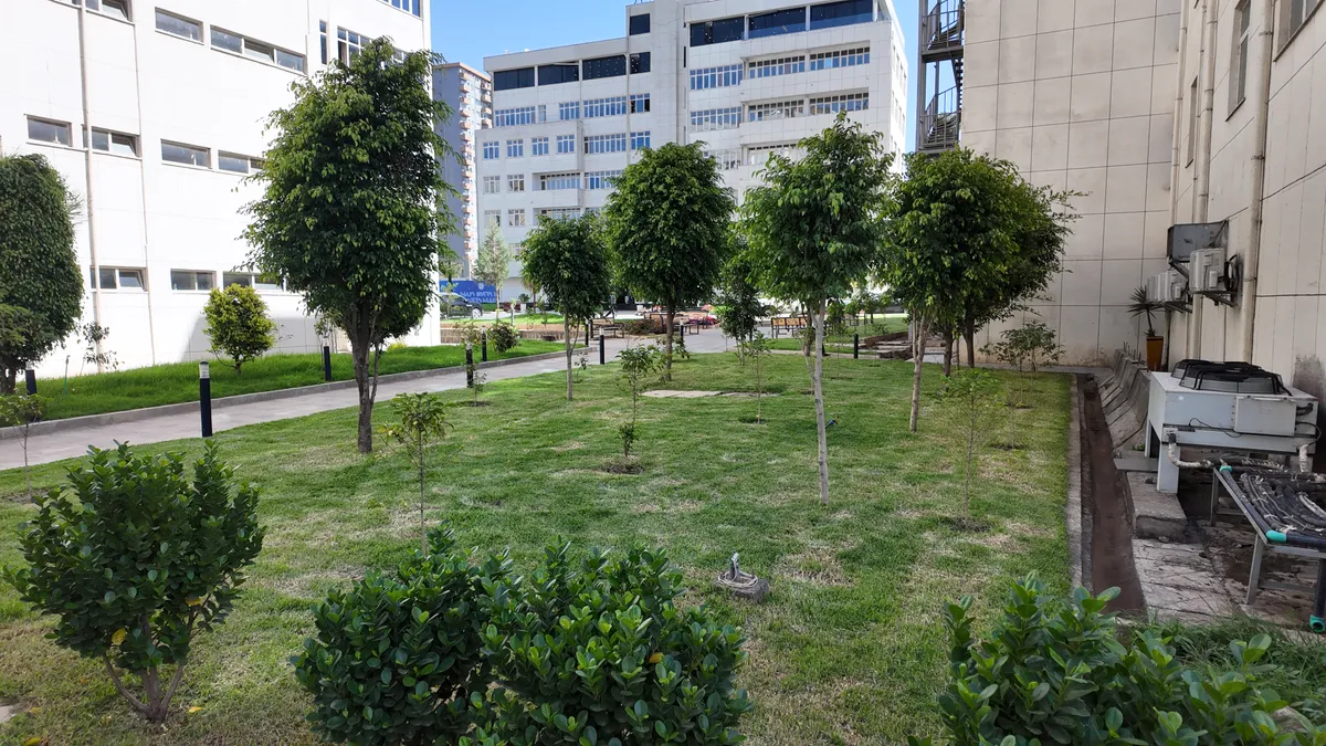 Outdoor planting and landscaping