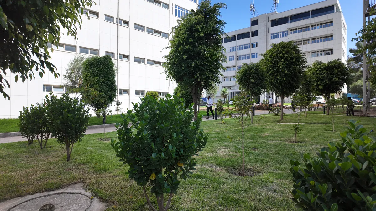 Outdoor planting and landscaping