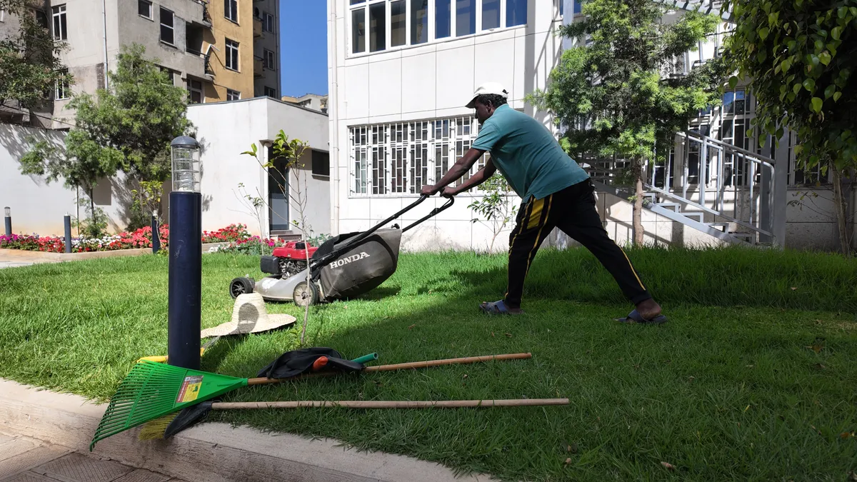 Outdoor planting and landscaping