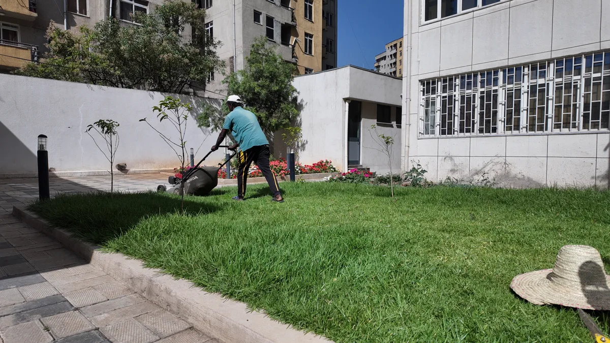 Garden Care & Maintenance