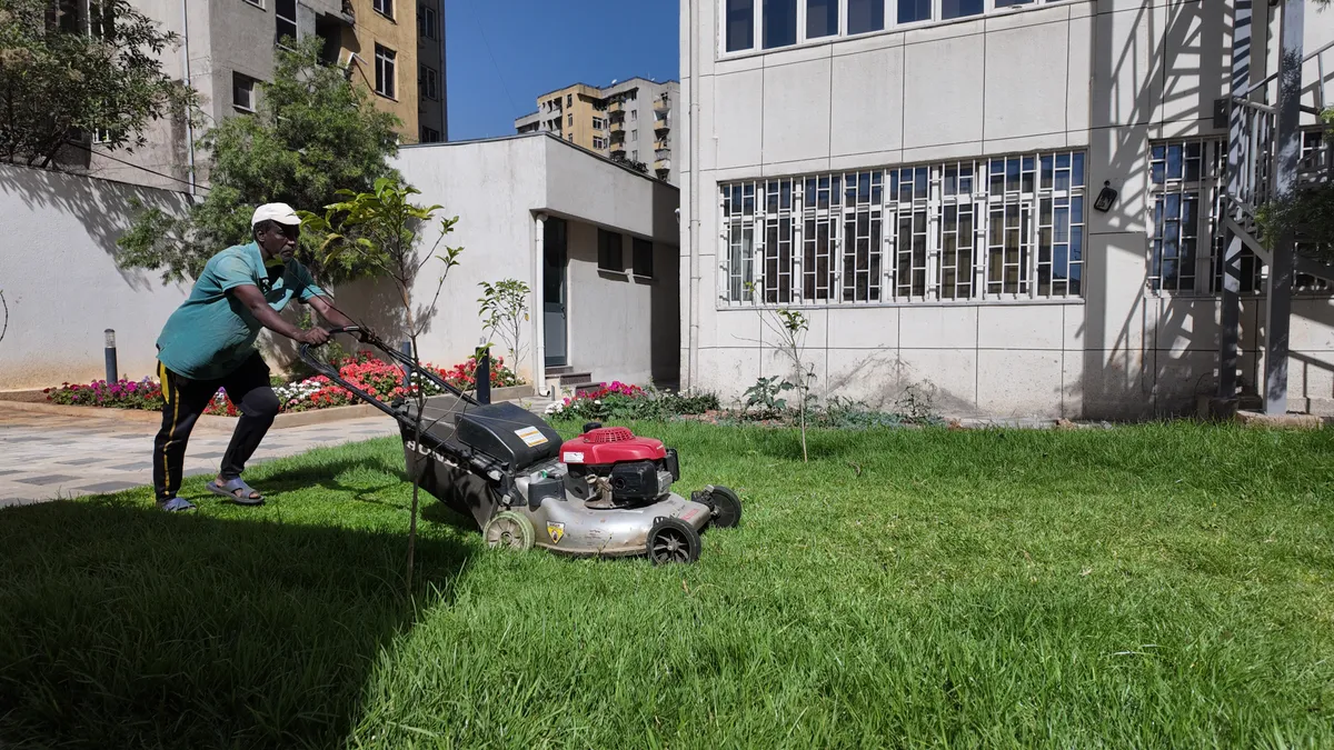 Outdoor planting and landscaping