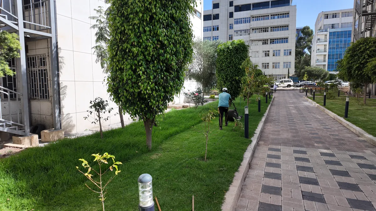 Outdoor planting and landscaping