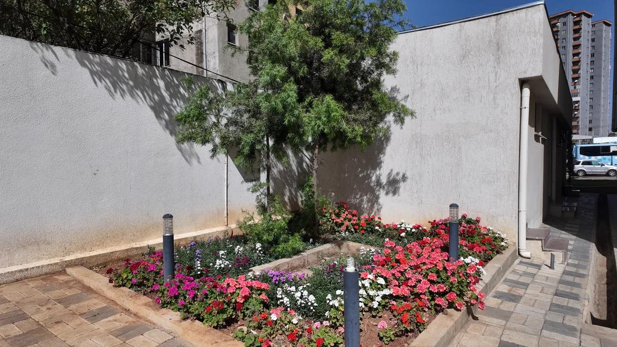 Outdoor planting and landscaping