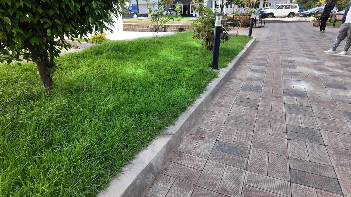 Outdoor planting and landscaping