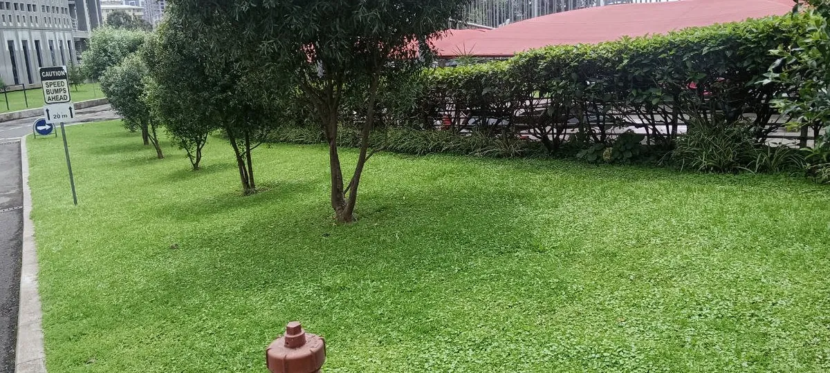 On-site gardener training