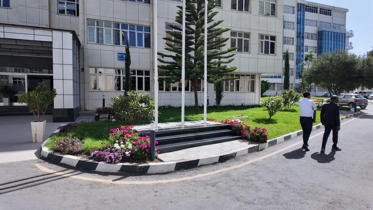 Outdoor planting and landscaping