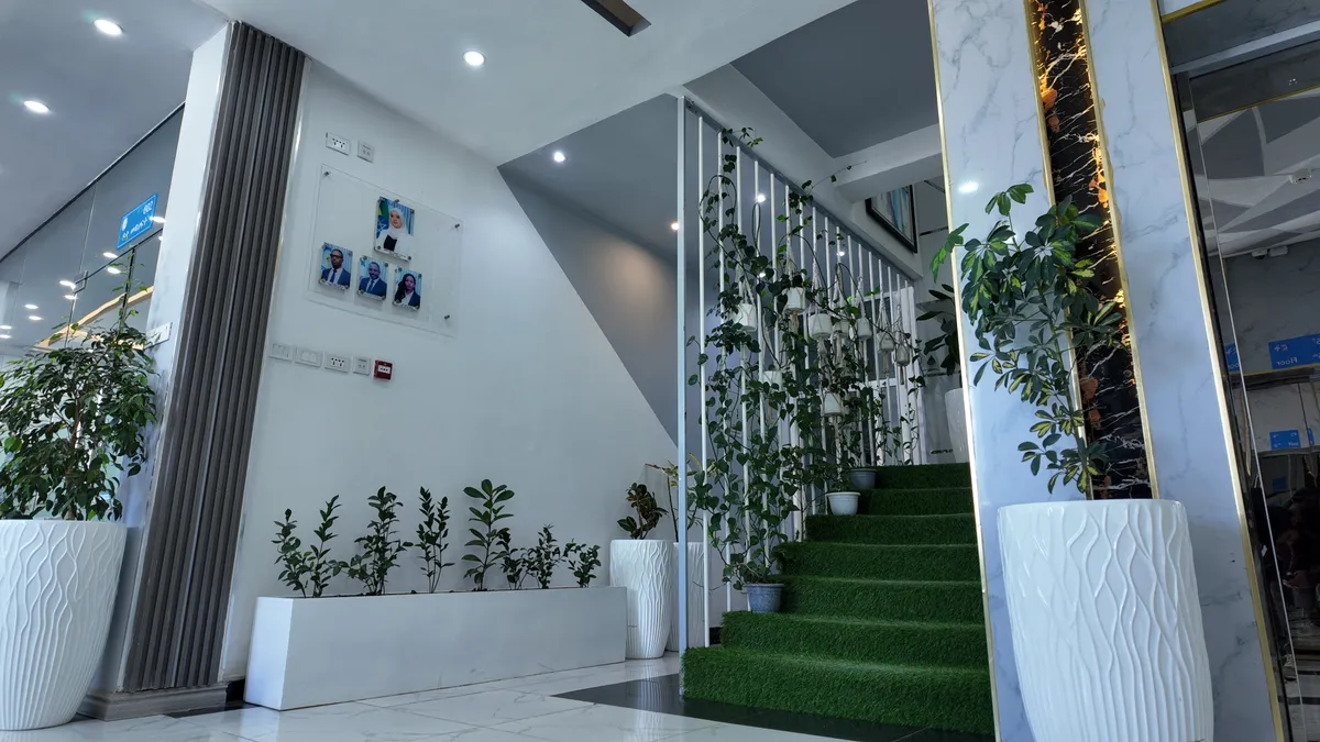 Outdoor planting and landscaping