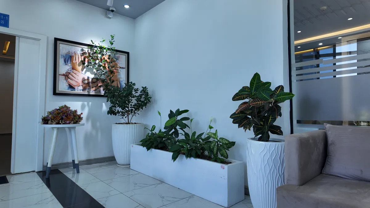Outdoor planting and landscaping