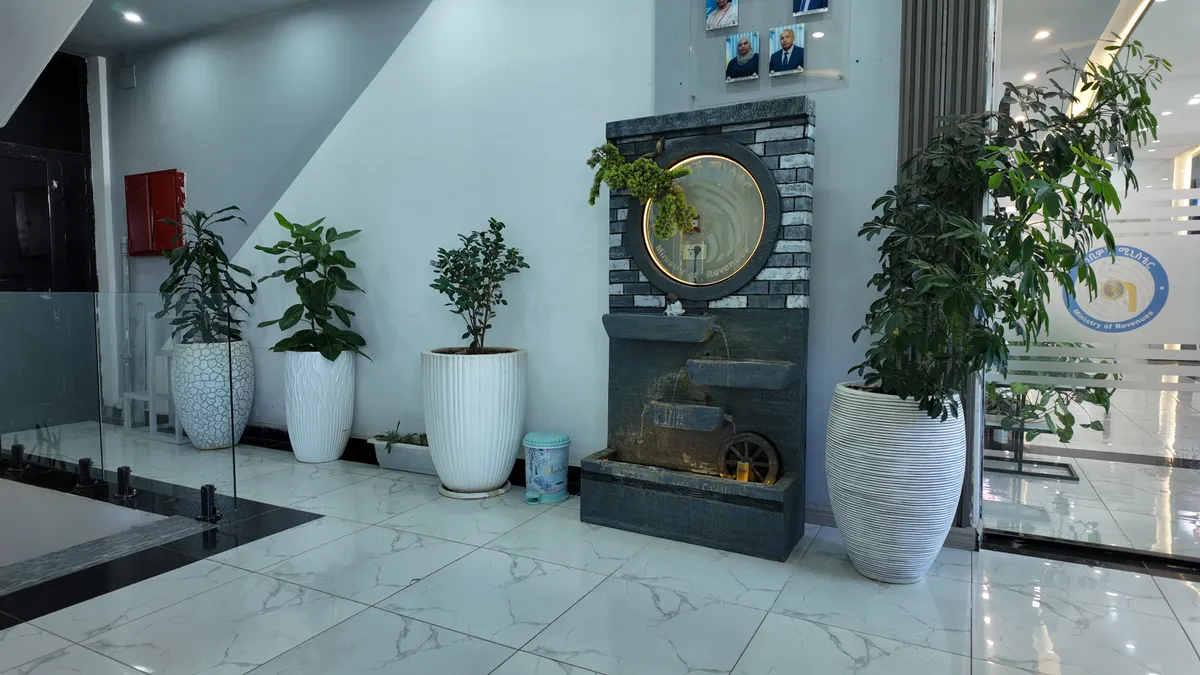Outdoor planting and landscaping