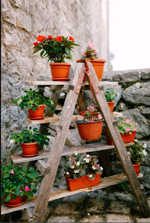 Vertical Garden